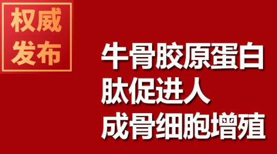 牛骨膠原蛋白肽促進(jìn)人成骨細胞增殖
